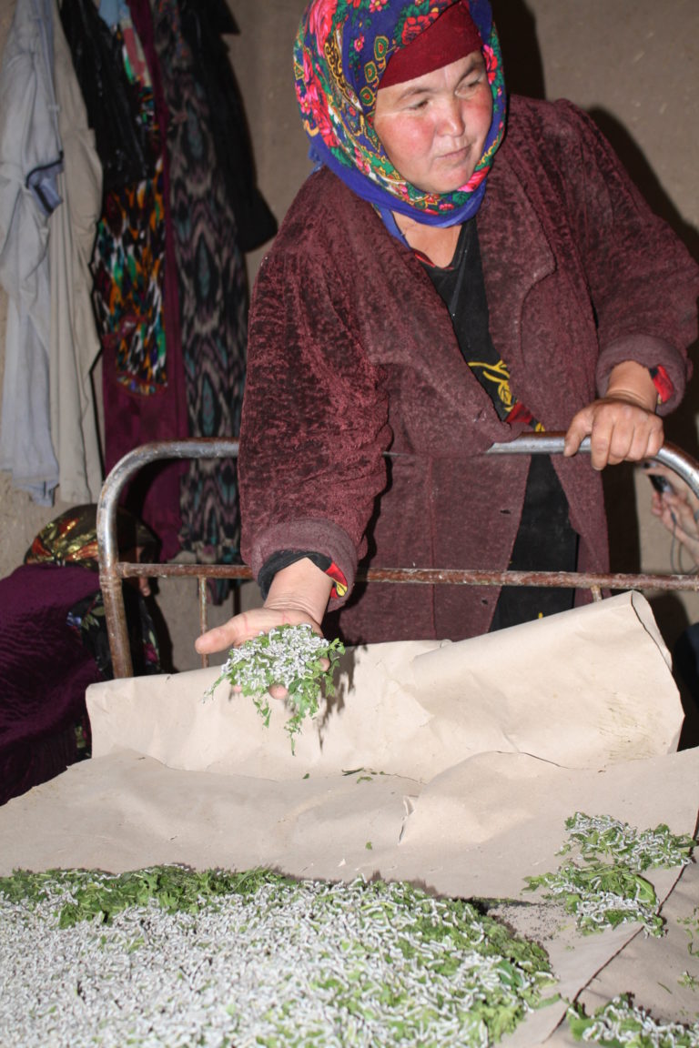 Seidenraupen Usbekistan Rundreise Begegnungsreise